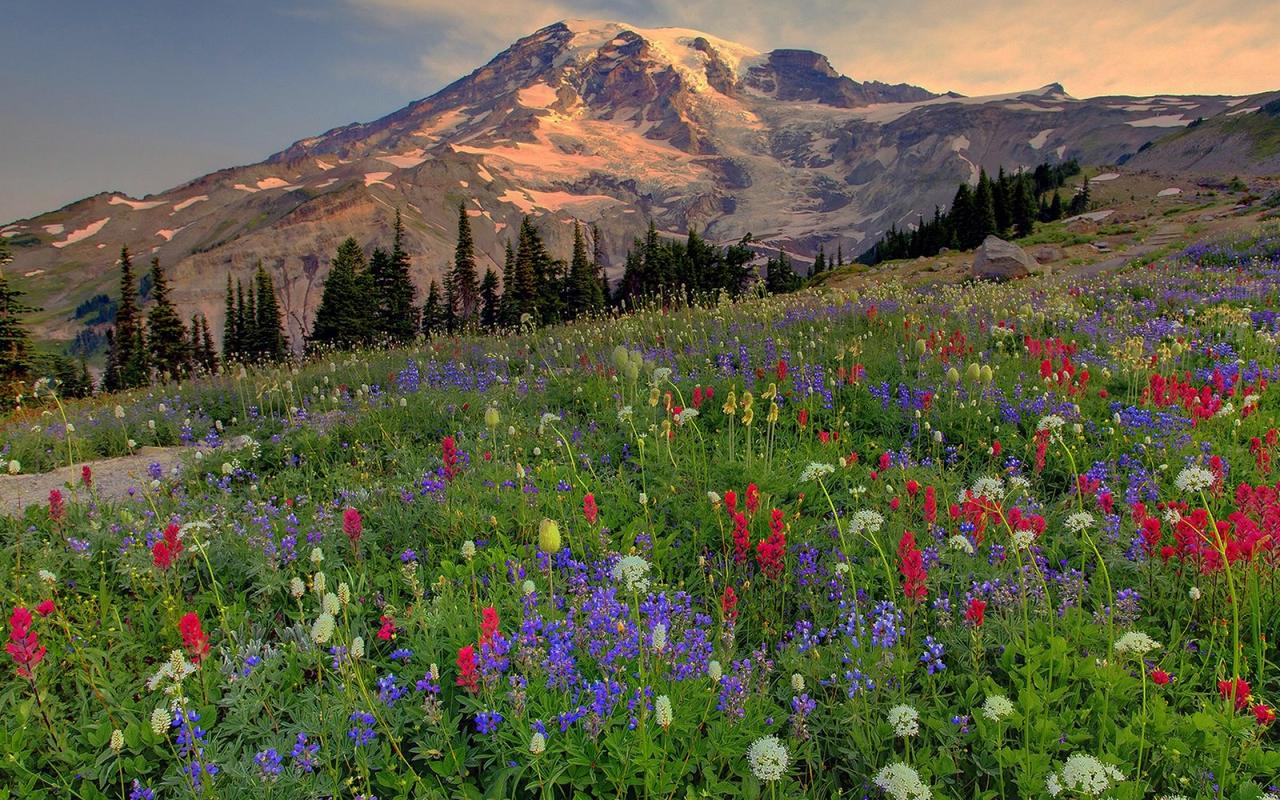 高清自然山水风景.jpeg 高清自然山水风景.jpeg