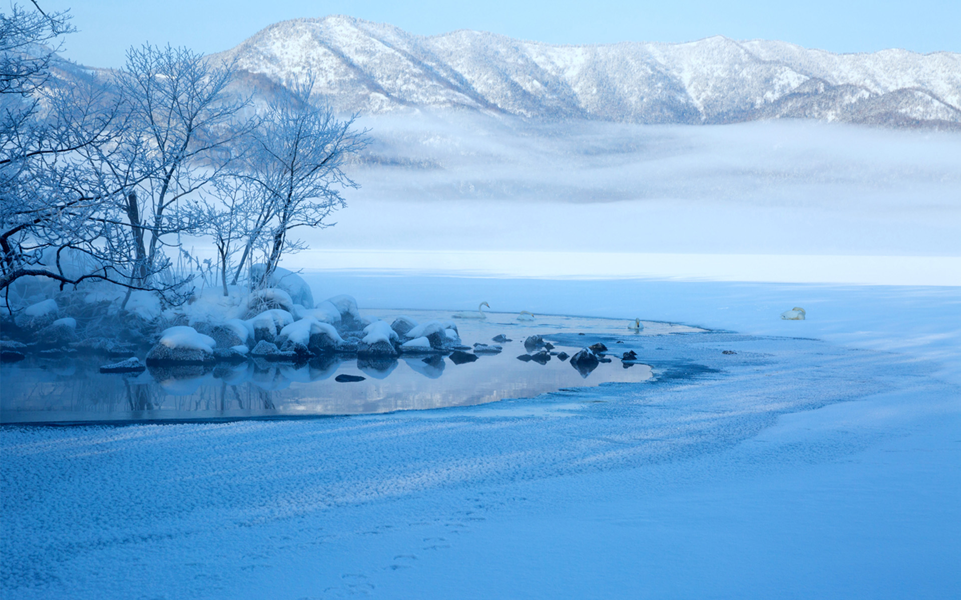 唯美梦幻的冬日雪景.jpg